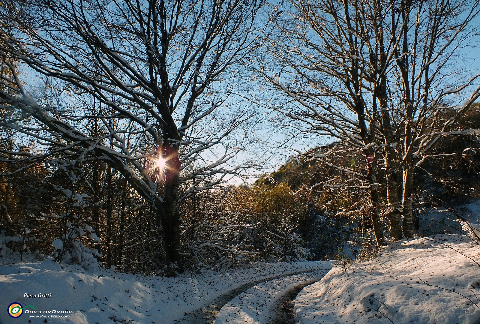 44 baciati dal sole....JPG